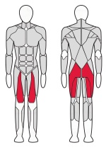 4-х Позиционная мультистанция Fitex FTX-7504 4-х Позиционная мультистанция Fitex FTX-7504