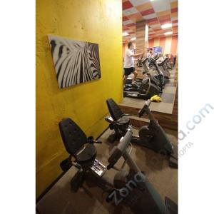 Велотренажер AeroFIT 9500R 7LCD