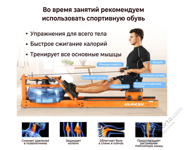Гребной тренажер DFC Runow Golden Wood Гребной тренажер DFC Runow Golden Wood