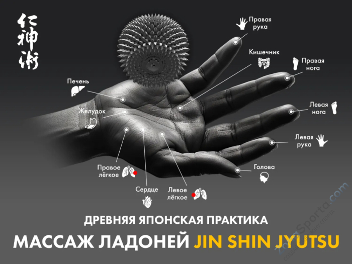 Массажное кресло Fujimo Flexor Business Edition Grey Массажное кресло Fujimo Flexor Business Edition Grey