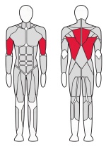 Нижняя тяга Fitex Pro FTX-61F13 Нижняя тяга Fitex Pro FTX-61F13