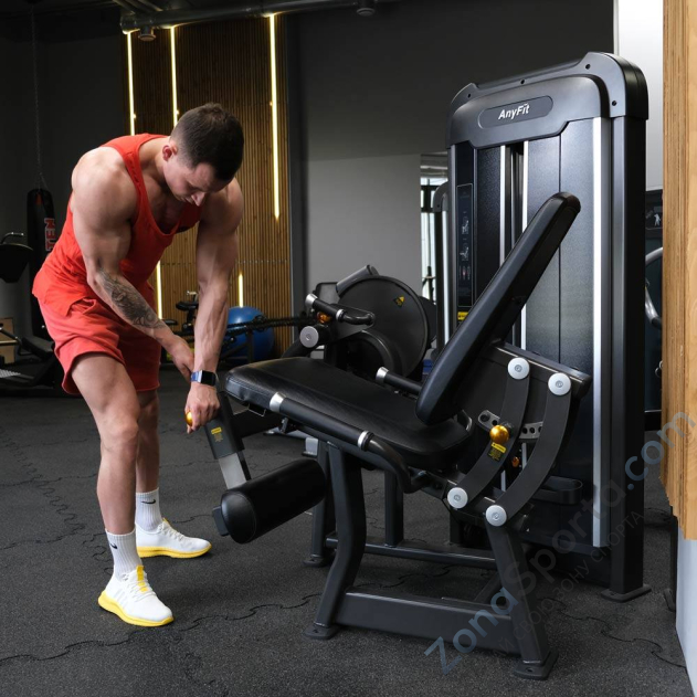 Разгибание ног AnyFit PE201-123 Разгибание ног AnyFit PE201-123