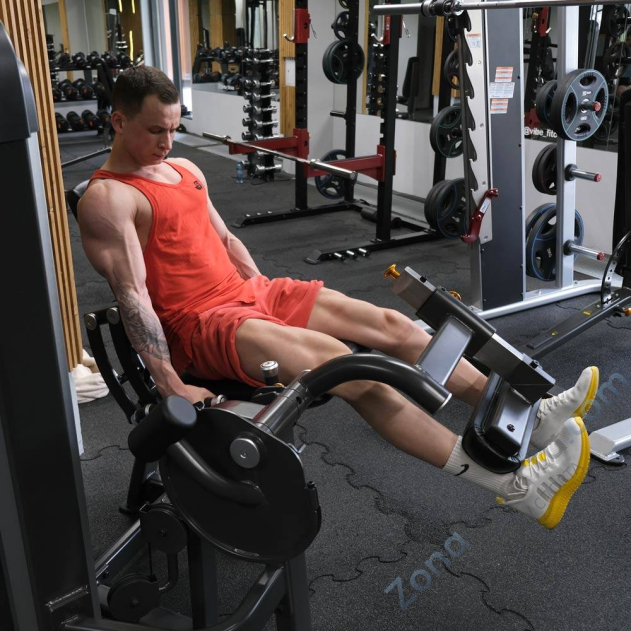 Разгибание ног AnyFit PE201-123 Разгибание ног AnyFit PE201-123