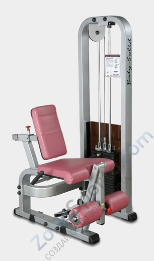 Разгибание ног сидя Body Solid ProClub SLE-200G Разгибание ног сидя Body Solid ProClub SLE-200G