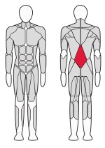 Разгибатель спины Fitex Pro FTX-7317 Разгибатель спины Fitex Pro FTX-7317