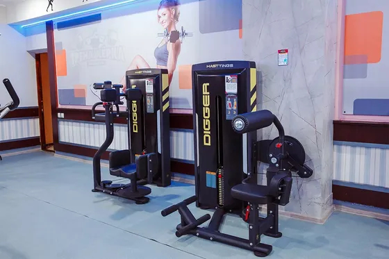 Сгибание/разгибание спины Hasttings Digger HD009-1 Сгибание/разгибание спины Hasttings Digger HD009-1