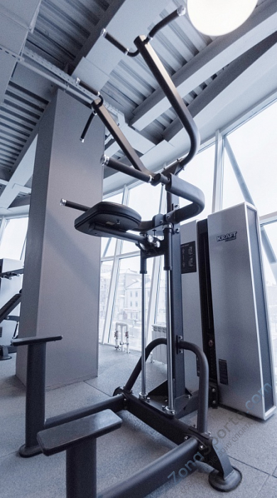 Силовой тренажер Подтягивание/отжимание  Kraft Fitness KFDXDCA Силовой тренажер Подтягивание/отжимание  Kraft Fitness KFDXDCA