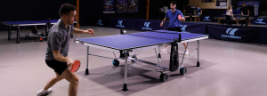 Теннисный стол Cornilleau 300 Indoor Blue