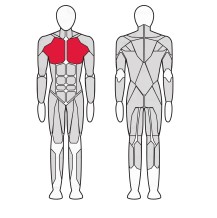 Жим от груди Gym80 4E 3616 Жим от груди Gym80 4E 3616