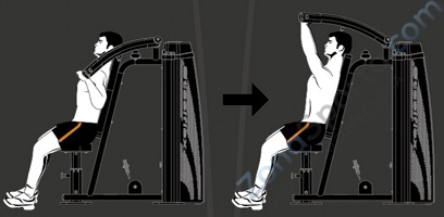 Жим от плеч Steel Flex Hope HSP800 Жим от плеч Steel Flex Hope HSP800