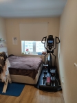 Эллиптический тренажер Sole Fitness E95 (2019) отзыв